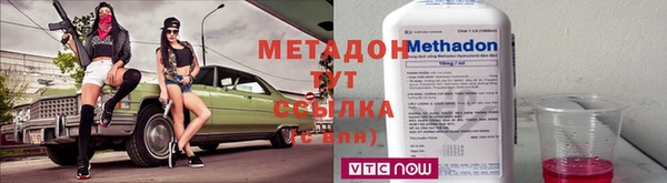прущие грибы Зеленодольск