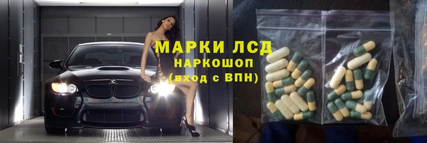 прущие грибы Зеленодольск
