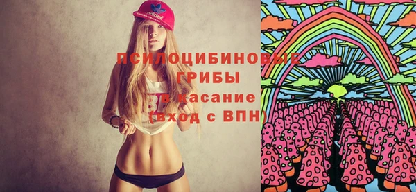 твердый Зерноград