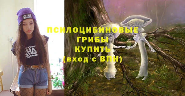 твердый Зерноград
