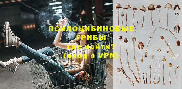 твердый Зерноград
