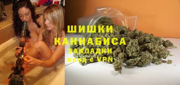 прущие грибы Зеленодольск