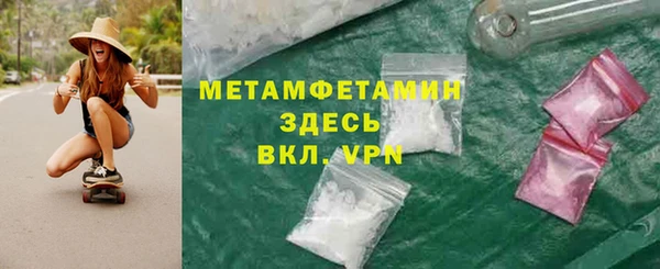 прущие грибы Зеленодольск
